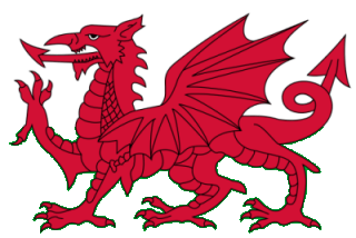 Red Welsh dragon